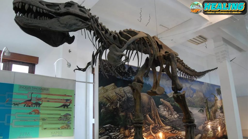 Museum Geologi: Tempat Batuan Bersuara dan Sejarah Menyapa!