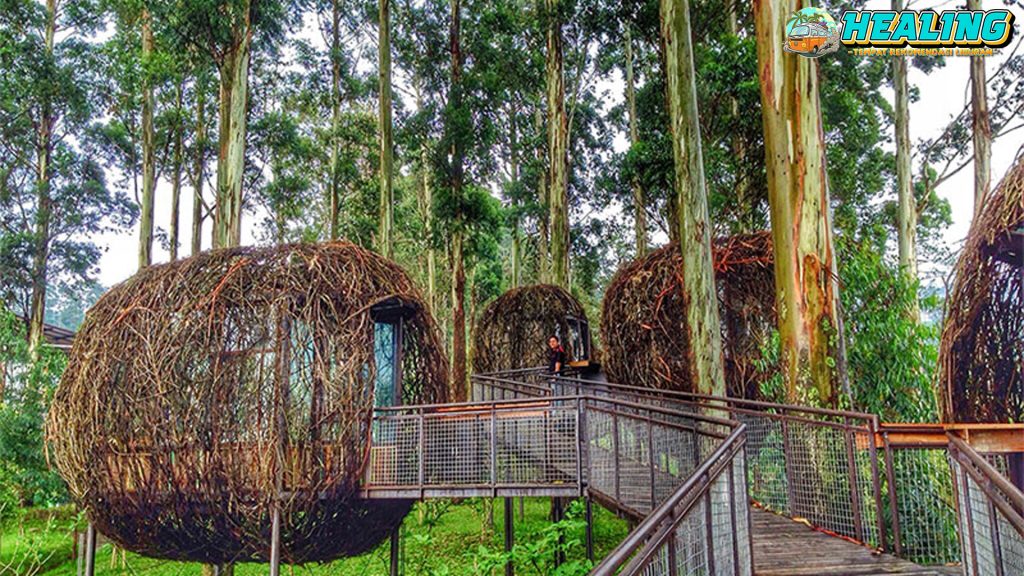 Dusun Bambu Bandung, Destinasi Cantik Buat Refreshing!