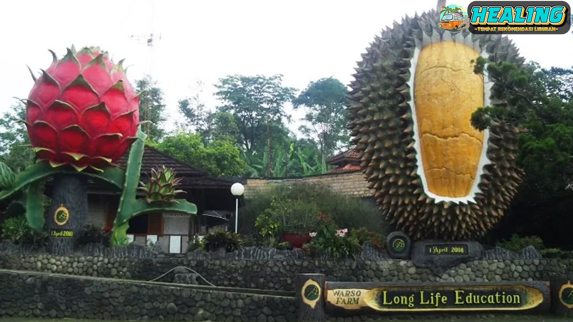 Kebun Durian Warso Farm Wisata Durian Terbaik di Bogor!