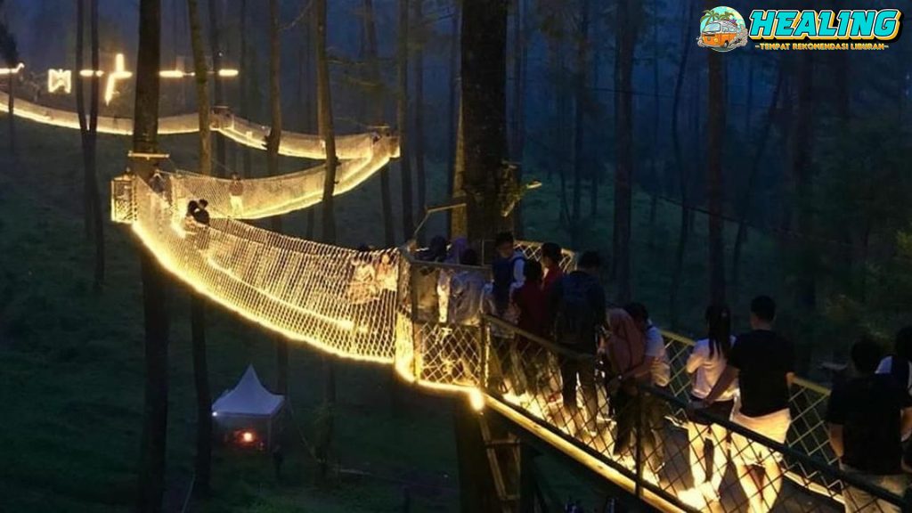 Orchid Forest Cikole, Surga Bunga Cantik di Bandung!