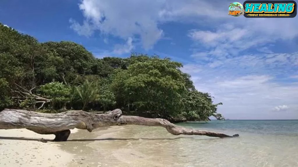 Main ke Pandeglang? Pulau Liwungan Wajib Masuk Daftar!