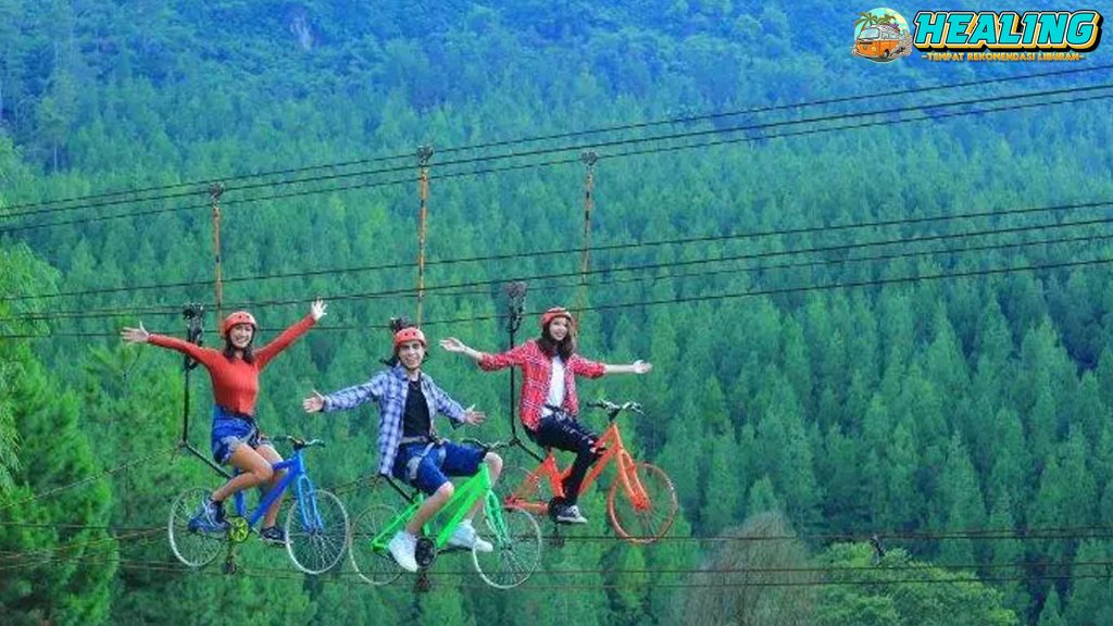 The Lodge Maribaya: Destinasi Hits, Kamera Gak Diam!