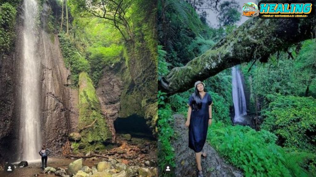 Nangka Waterfall Keindahan Air Terjun Tersembunyi di Bogor!