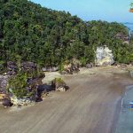 Bako National Park Tempat di Kalimantan yang Gak Biasa!