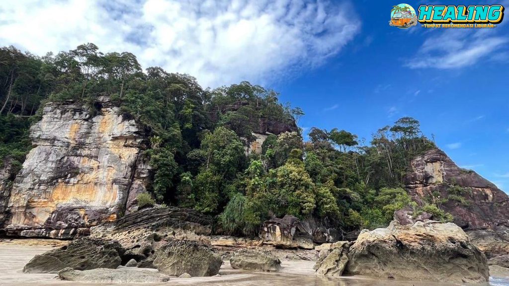 Bako National Park Tempat di Kalimantan yang Gak Biasa!