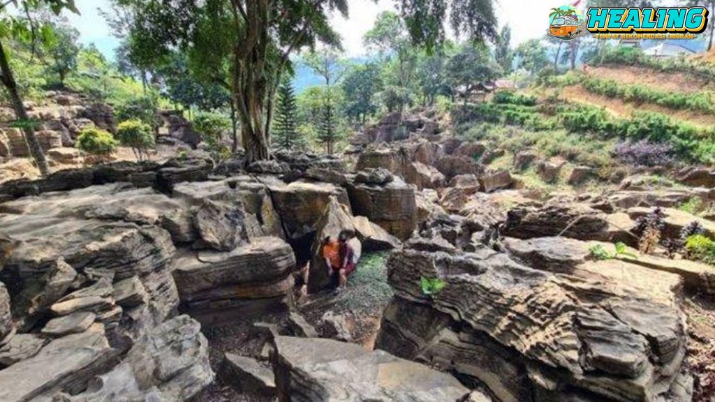 Menyusuri Goa Agung Garunggang Eksotisme Alam Bogor!