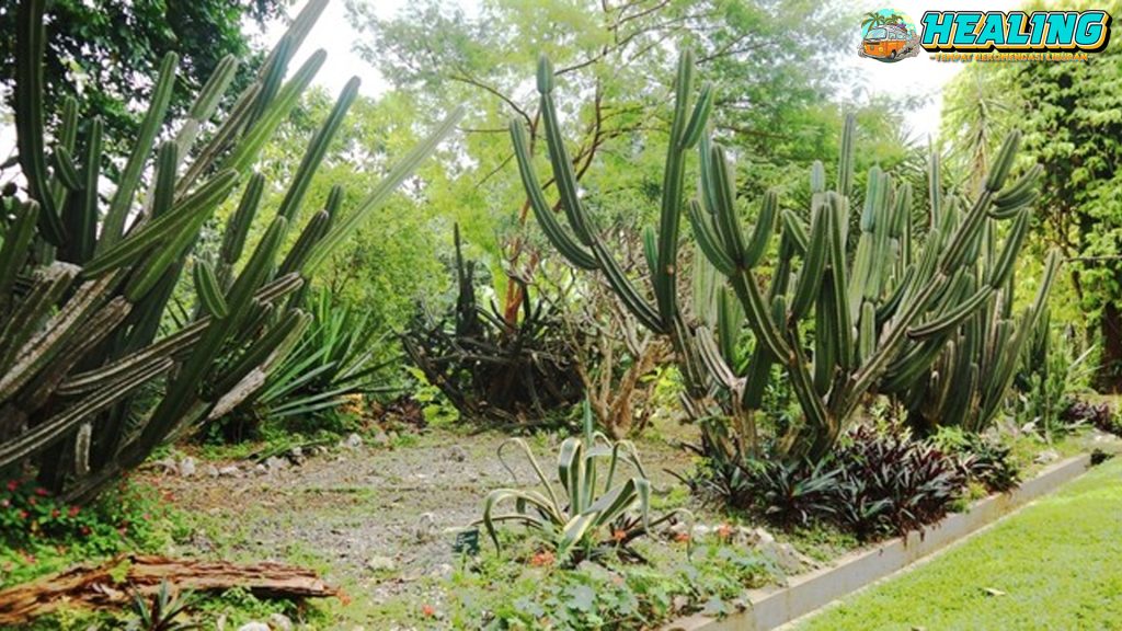 Mexico Garden Bogor, Tempat Hits Buat Ngabur dari Rutinitas!