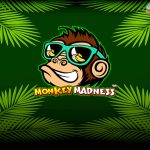 Slot QRIS Cnnslot Tawarkan Keseruan Gokil Monkey Madness!