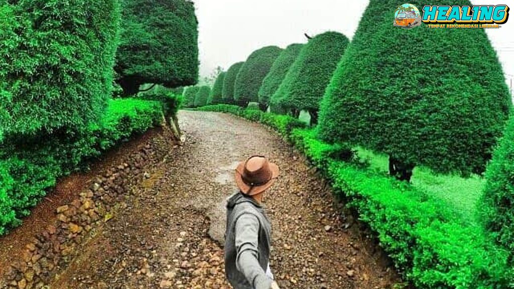 Liburan Asyik di Mushroom Hill Rancabolang, Ciwidey Bandung