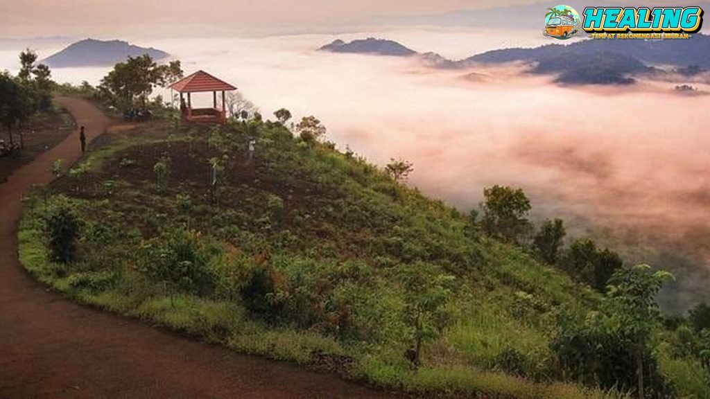 Sultan Adam Forest, Oase Kalimantan yang Jarang Tersorot!