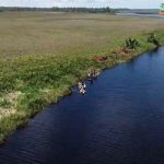 Keindahan Luar Biasa Wasur National Park di Papua!