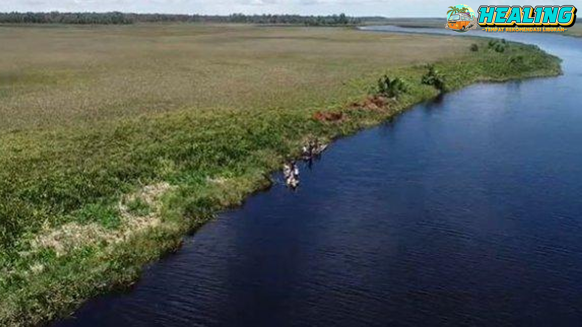 Keindahan Luar Biasa Wasur National Park di Papua!