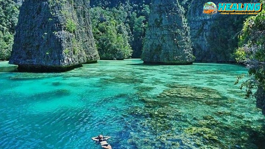 Raja Ampat Eksotisme Laut dan Pulau yang Menawan Hati!