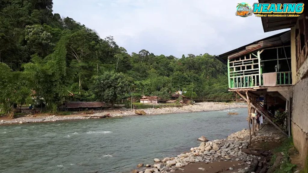 Bukit Lawang Destinasi Wajib untuk Pecinta Alam2 di Sumut