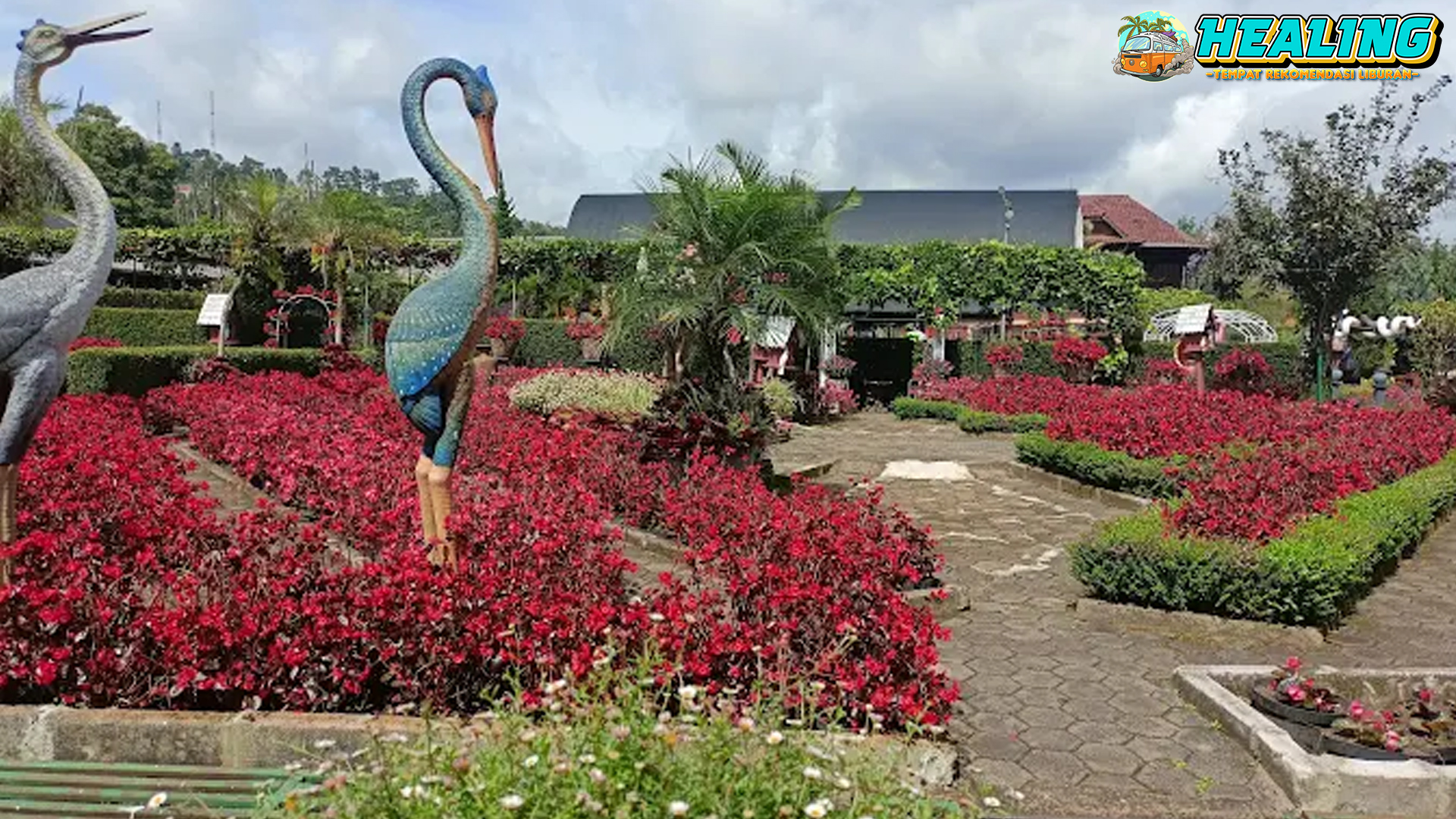 Kebun Begonia Bandung Taman Indah yang Bikin Betah!