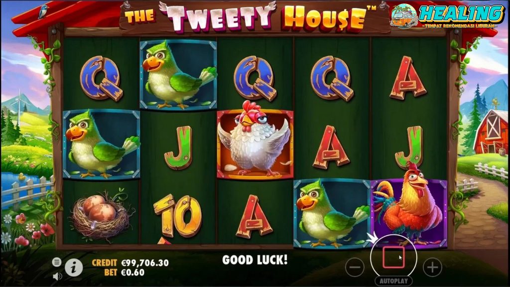 Rtp8000 Game Slot Gacor The Tweety House Bikin Cuan Ngegas