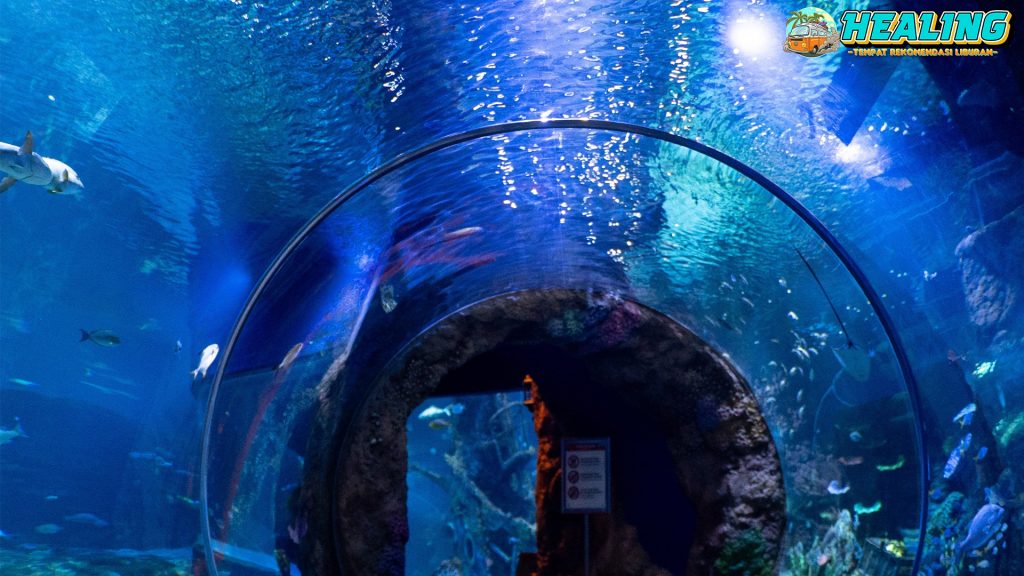 BXSea Wisata 1 Lautan di Banten Modern Menakjubkan