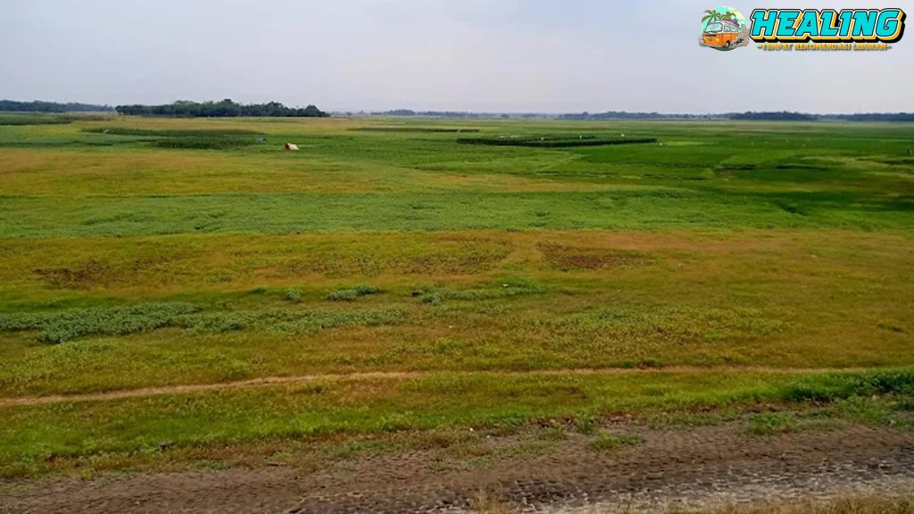 Waduk Cipancuh Indramayu 4 Aktivitas Cantik Seru