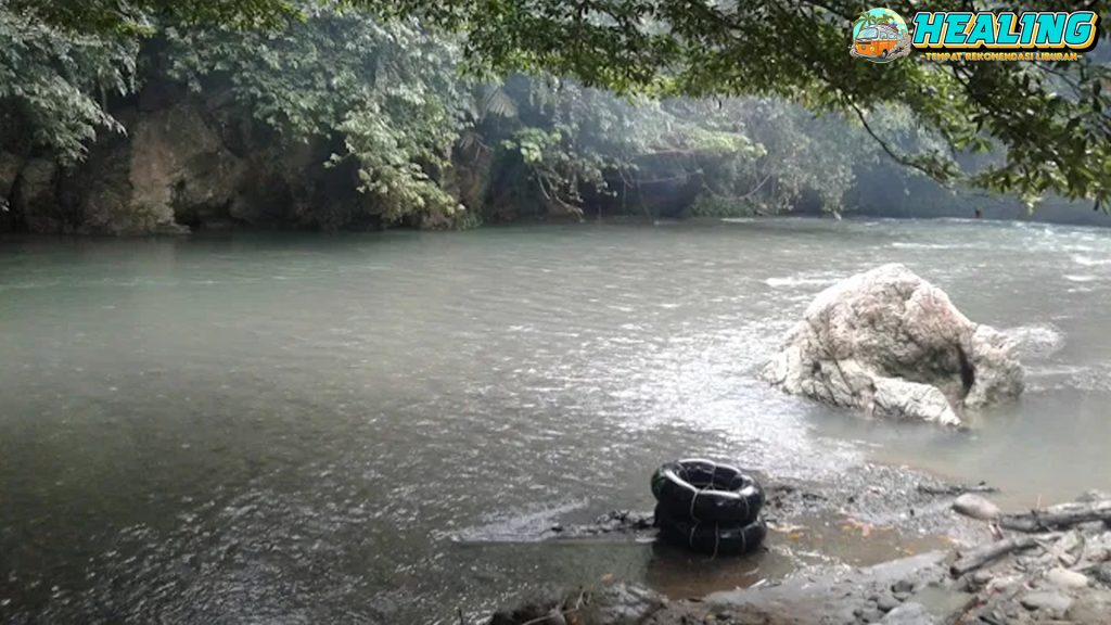Tangkahan 25 Keajaiban Alam Medan yang Memukau