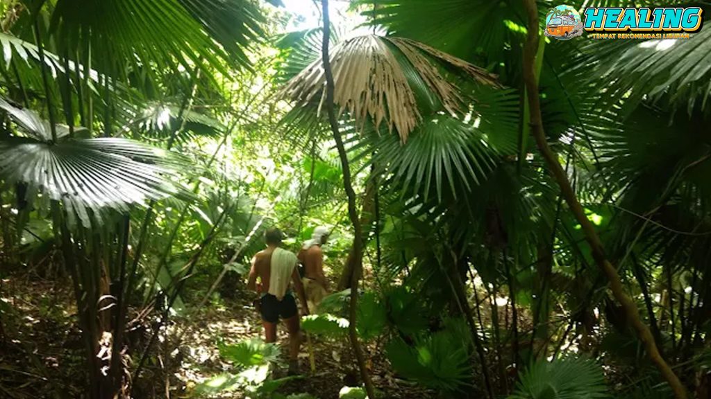 Manadotua Island Destinasi 1 Wisata Wajib di Manado