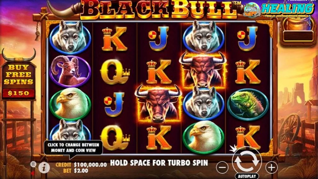 Ruby8000 Dihantam Strategi Ganasnya Amukan Black Bull