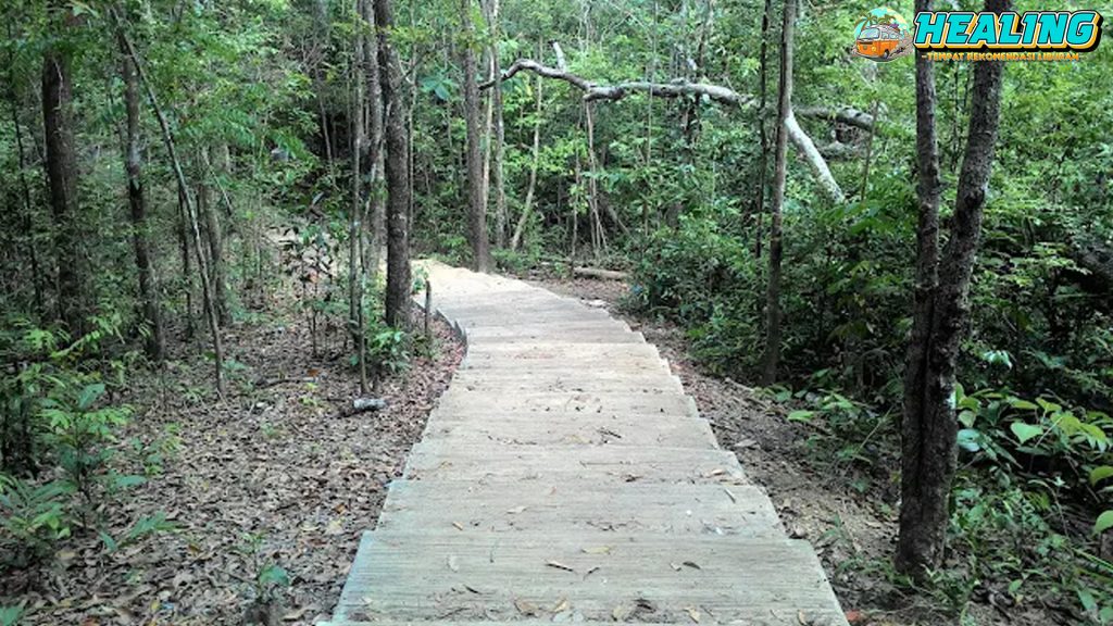 Air Terjun Kuta Malaka 10 Surga Tersembunyi