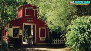 Rumah Ulin Arya 1 Tempat Liburan Baru Wisata