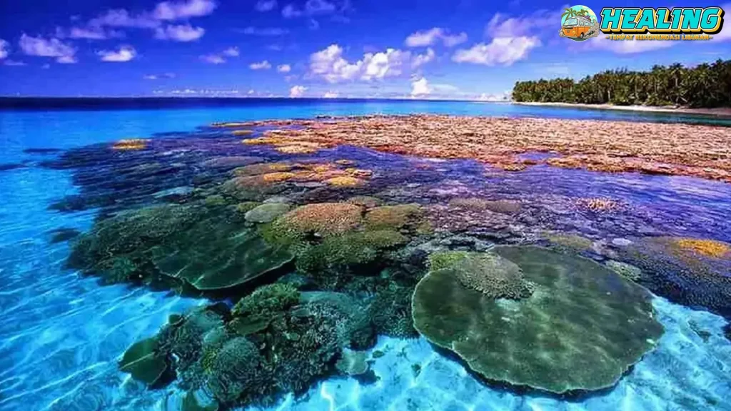 Bunaken Kanvas Indah di Ujung2 Sulawesi