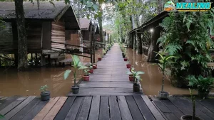 Kum Kum Palangkaraya, 10 Menit dalam Pusat Kota