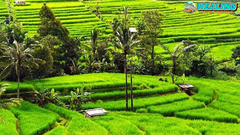 12 Proses Penting Bikin Desa Wisata Naik Kelas