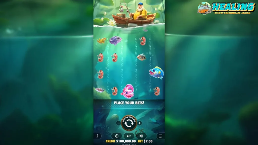 Gak Nyangka! Happy Nets 20 Fakta Ternyata Cerdas