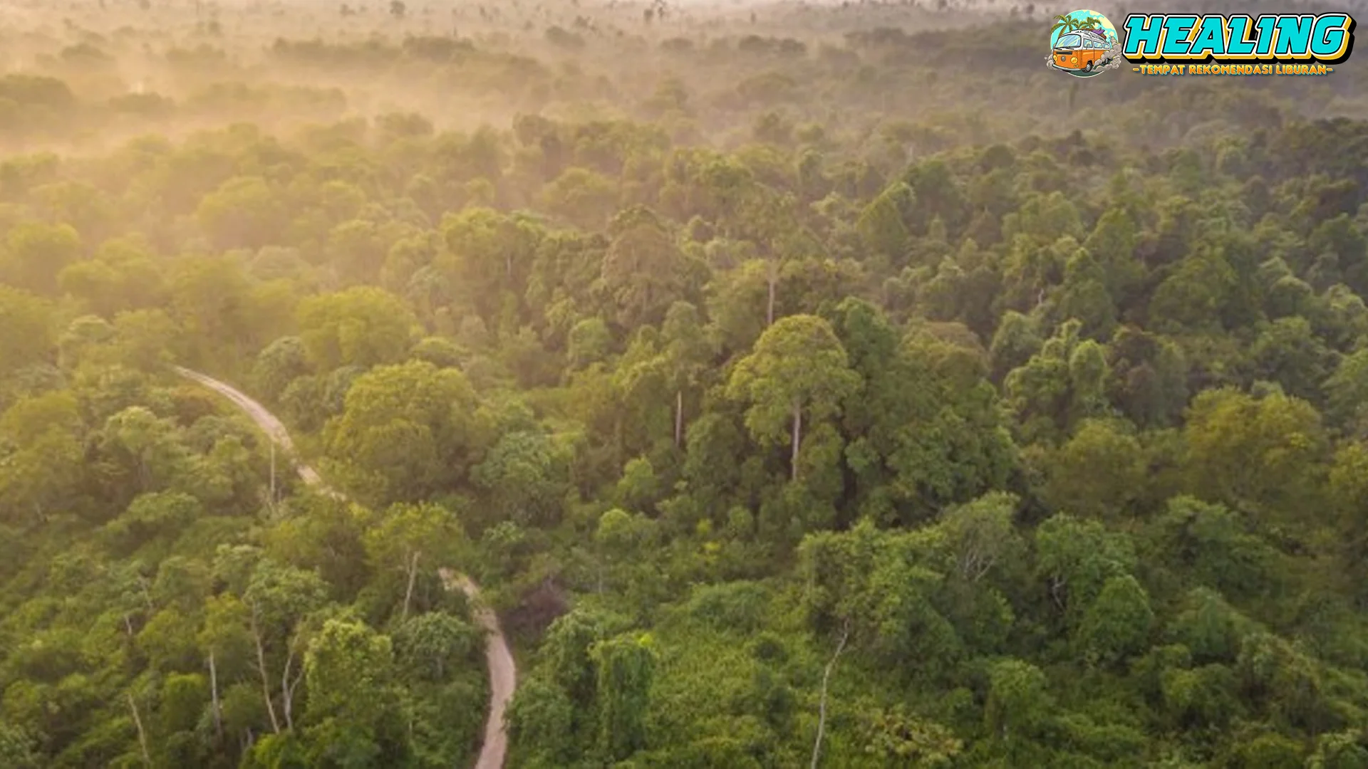Tesso Nilo 11 Hutan, Gajah, Manusia Penuh Tak Berujung?