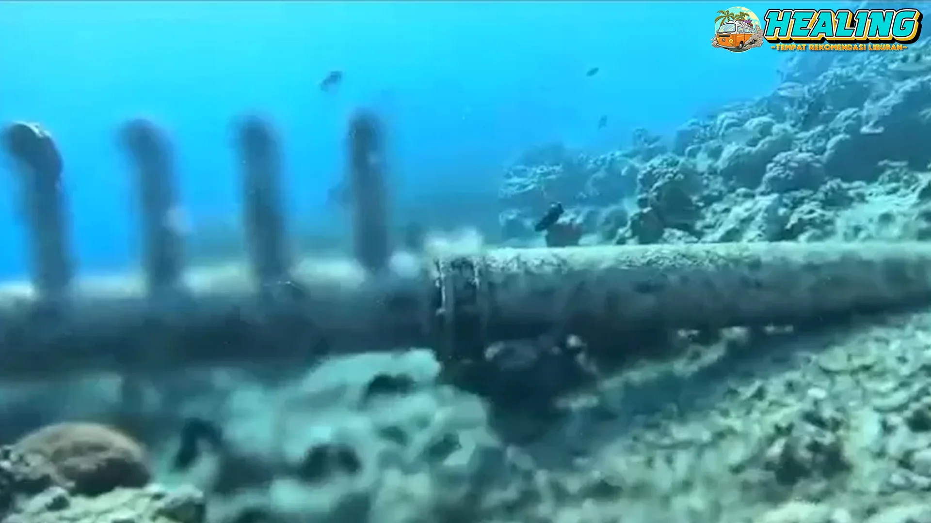 Gili Meno Menjerit! Proyek Tanggul dalam 13 Kehidupan Laut?