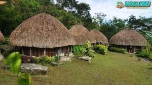 Rumah Honai: Mengintip 4 Kehidupan Penuh Papua