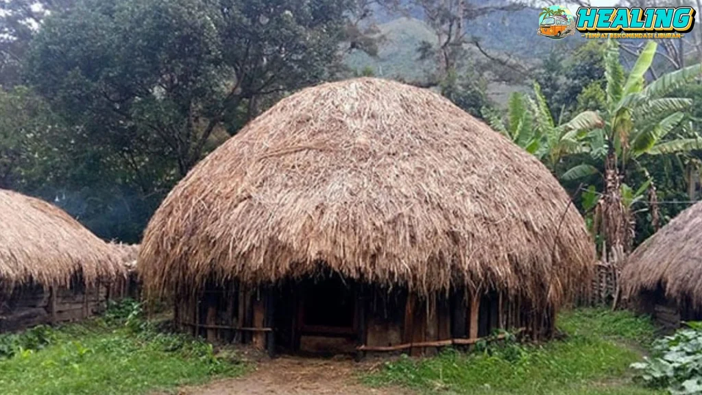 Rumah Honai: Mengintip 4 Kehidupan Penuh Papua