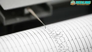 Nias Selatan Siaga! Gempa M 3.9 Guncang Malam Ini!