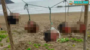 Ekuador Teror! 5 Kepala Manusia Gantung di Pantai!