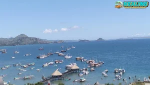 Pelayaran Labuan Bajo: 3 ASITA Usul Dibuka Secara Memukau