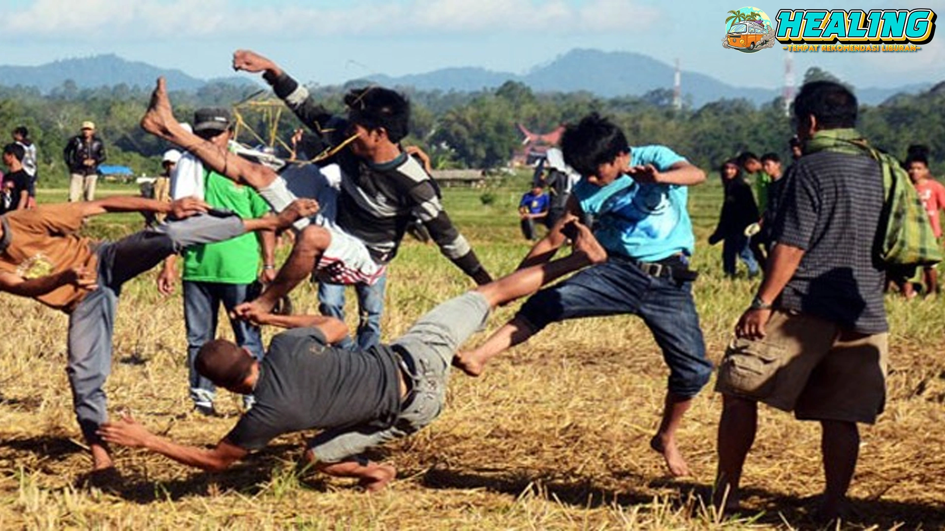 Adu Betis: Tradisi Unik Yang Hanya Ada Di 1 Indonesia! Bangga!