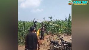 Polisi Temukan HP Korban di Kebun Jagung Jombang