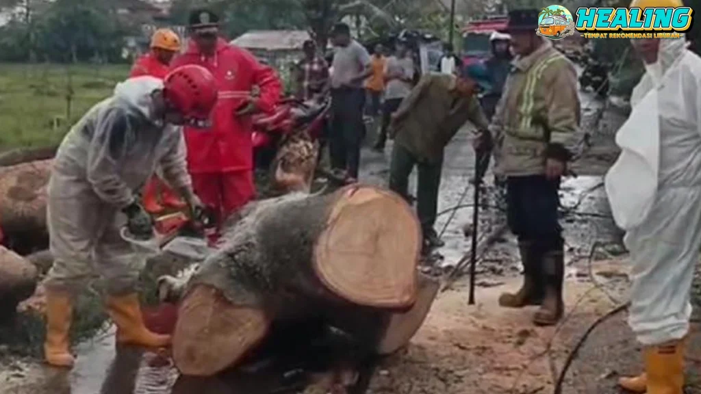 Hujan Badai Guncang Sukabumi, KA Terjebak Pohon!